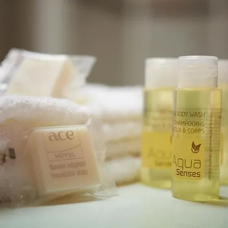 Ace Rouen Parc Des Expositions