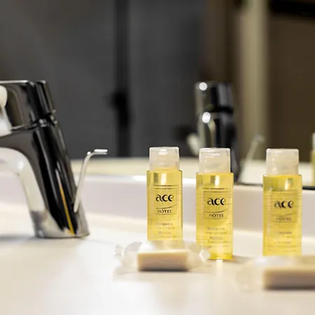 Ace Rouen Parc Des Expositions 3*